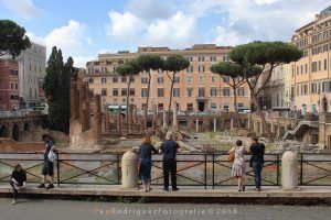 Largo di Torre Argentina